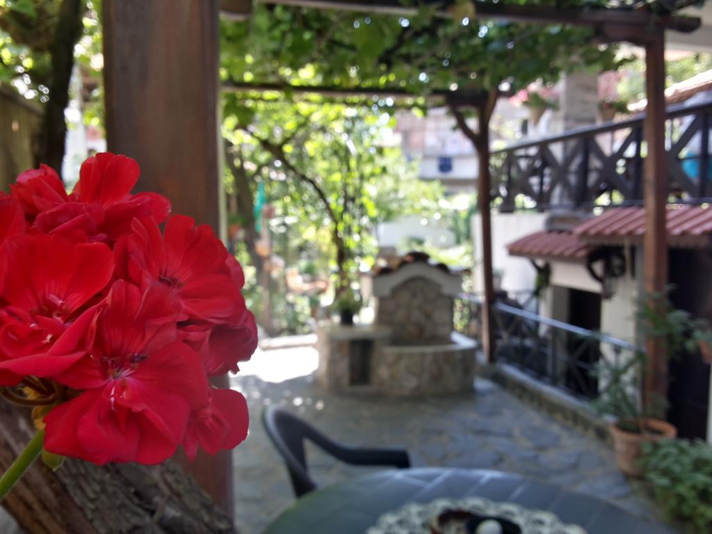 桑丹斯基 克瑞米德切瓦库施塔旅馆酒店 外观 照片